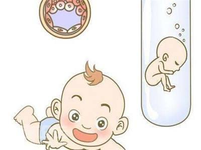 胚胎培养